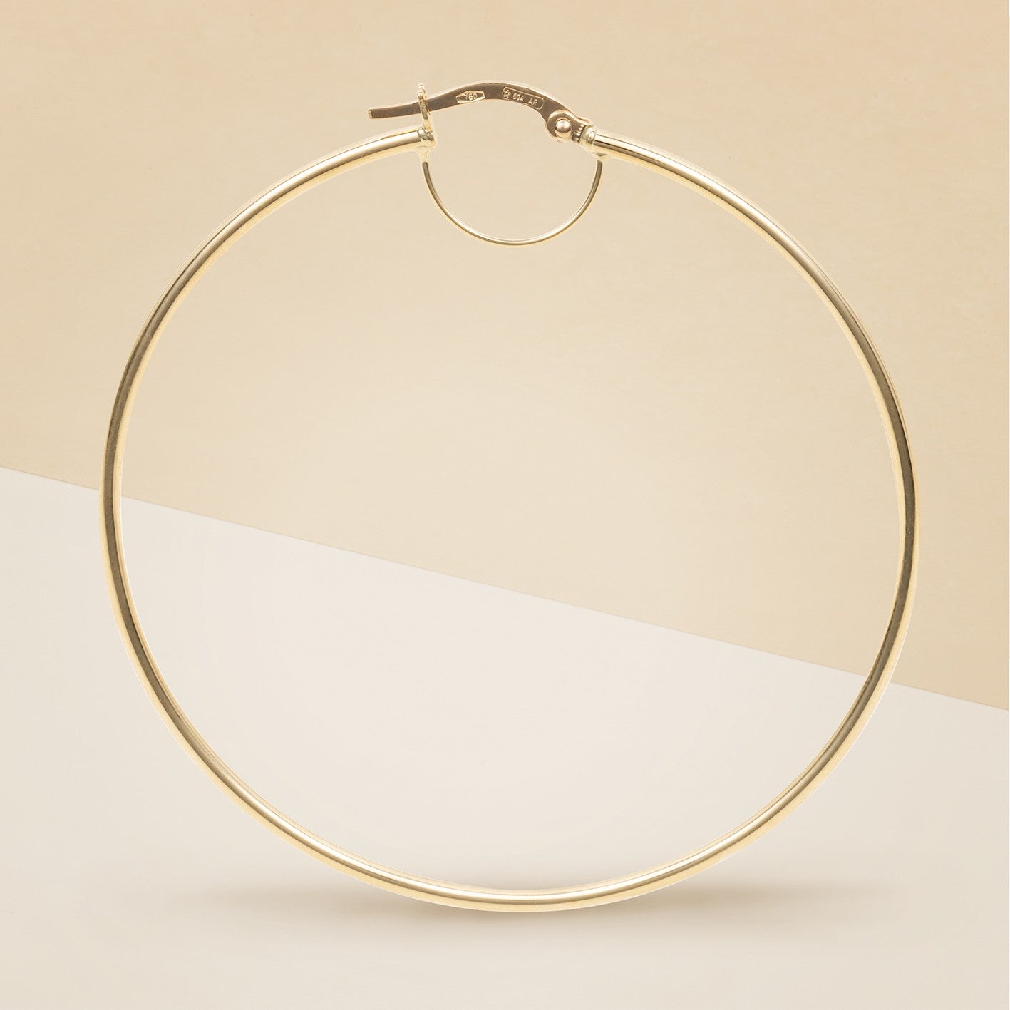 Orecchini cerchio tubolare