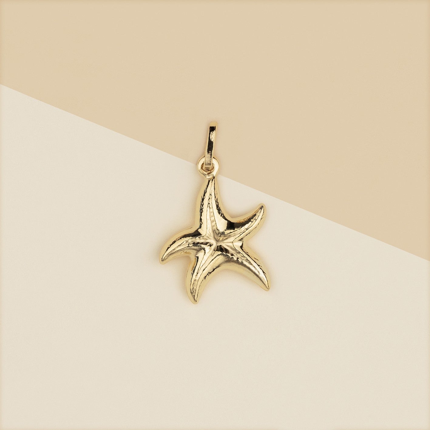 Pendente stella marina